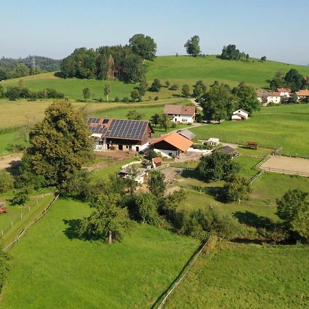 Appartamento Carlo Wangen im Allgäu Esterno foto