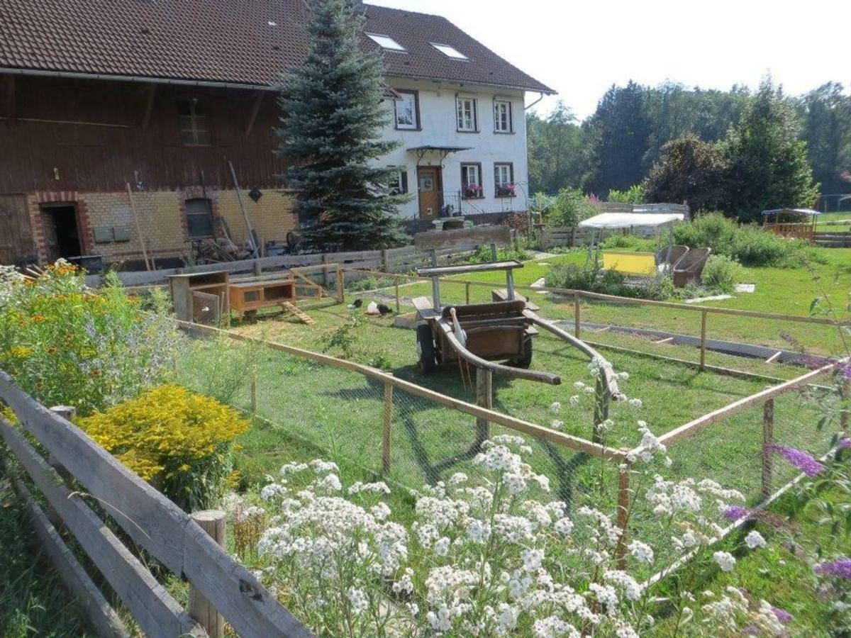 Appartamento Carlo Wangen im Allgäu Esterno foto