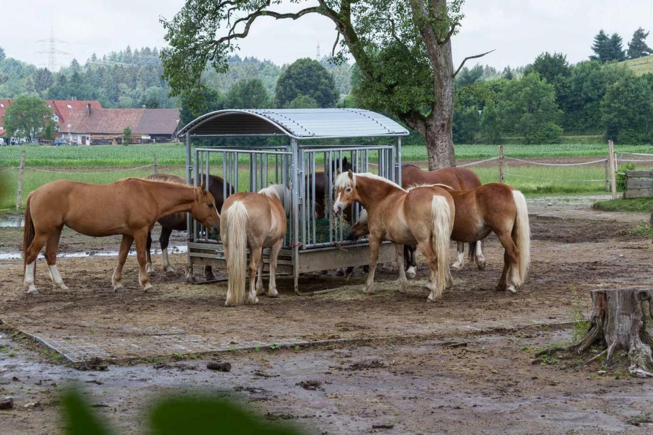 Appartamento Carlo Wangen im Allgäu Esterno foto