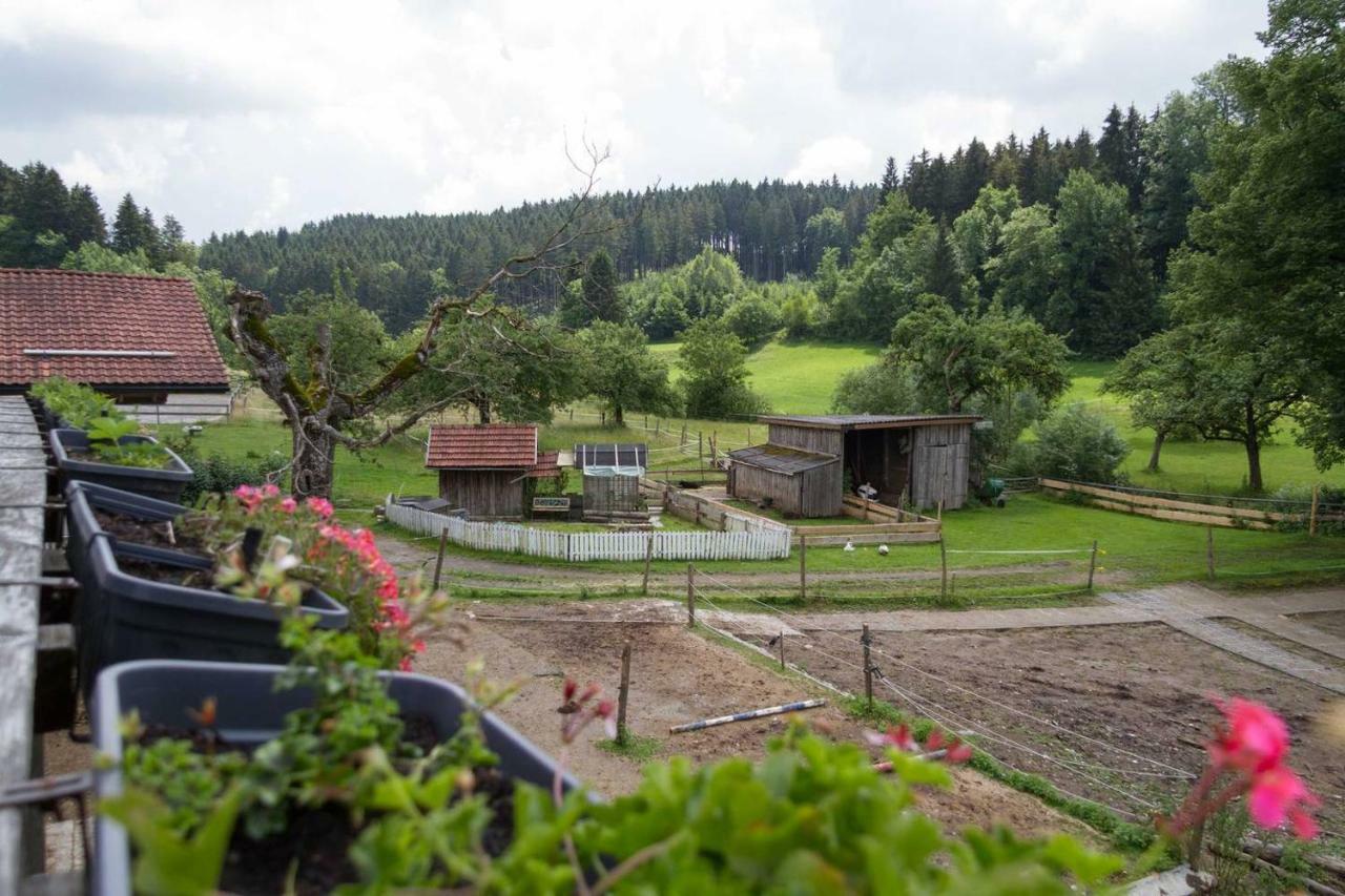 Appartamento Carlo Wangen im Allgäu Esterno foto