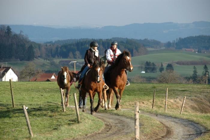 Appartamento Carlo Wangen im Allgäu Esterno foto