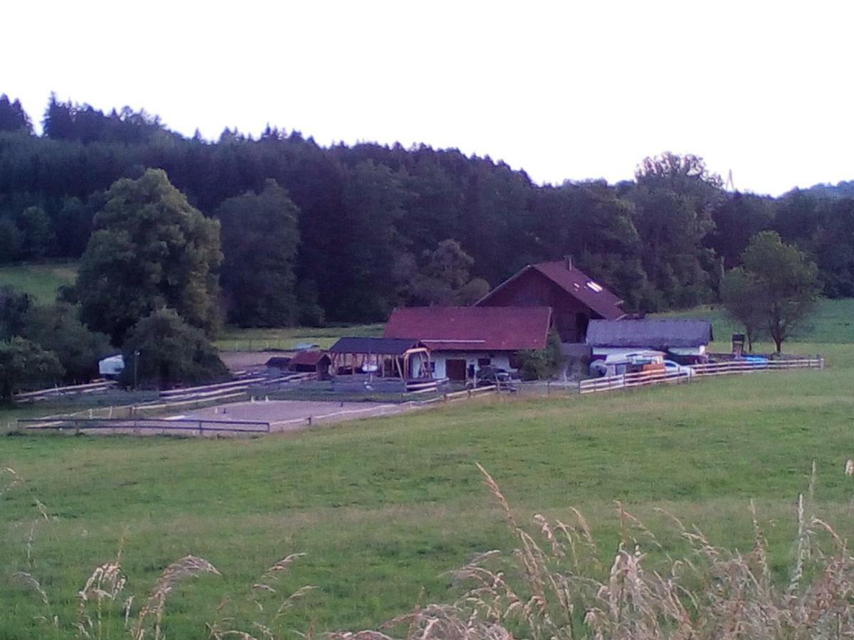 Appartamento Carlo Wangen im Allgäu Esterno foto